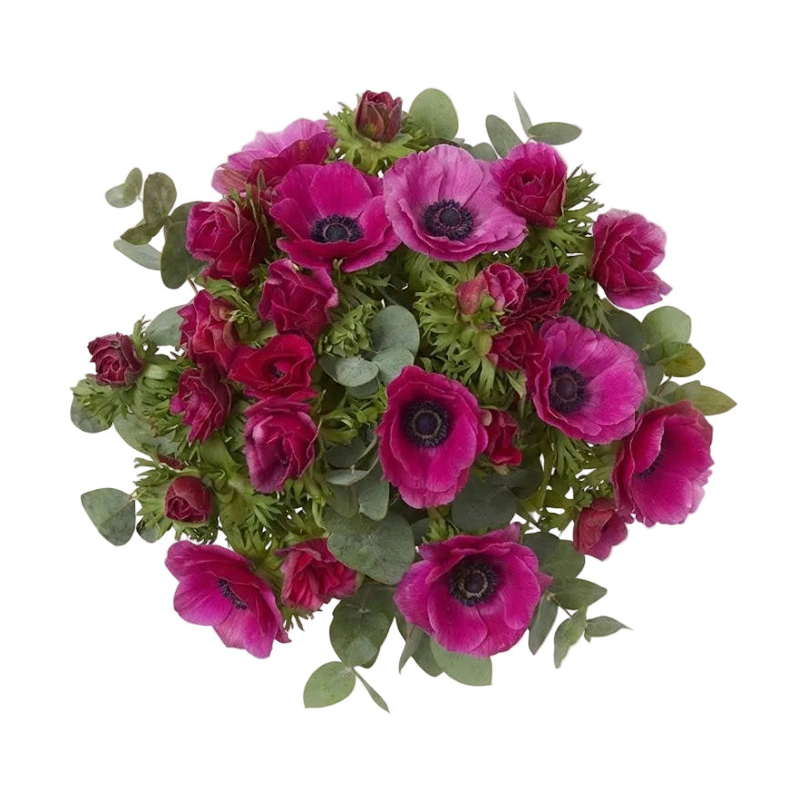 Cerise Anemone Bouquet