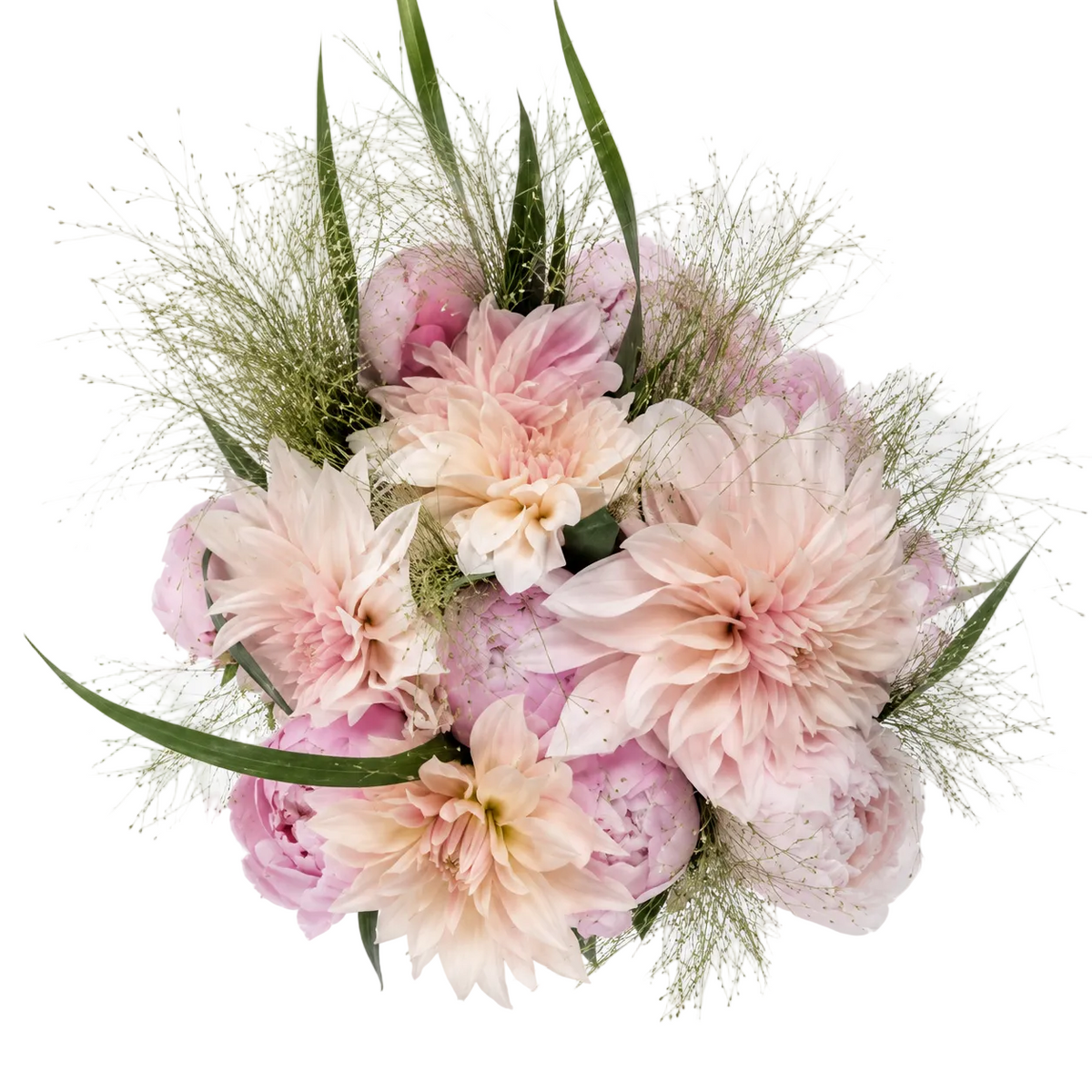 Luxury Bouquet of Cafe au Lait Dhalia and Peonies