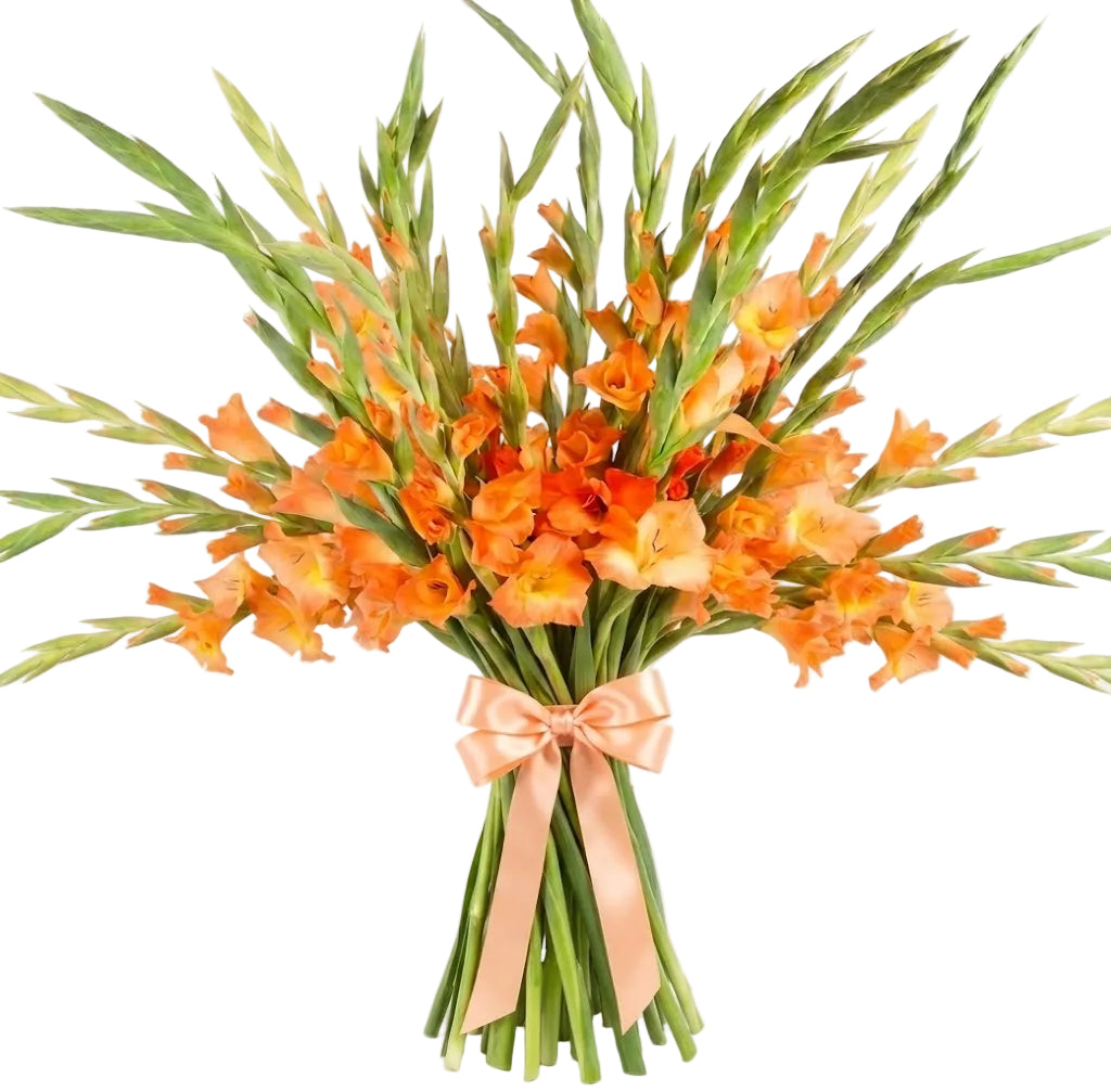 Orange Gladiolus Bouquet
