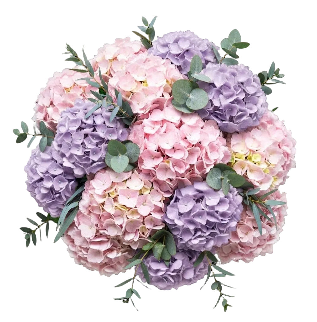 Pink and Lavender Hydrangea Luxury Bouquet