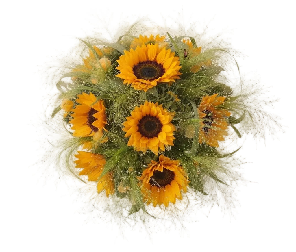 Sunflowers with Panicum Grass Bouquet