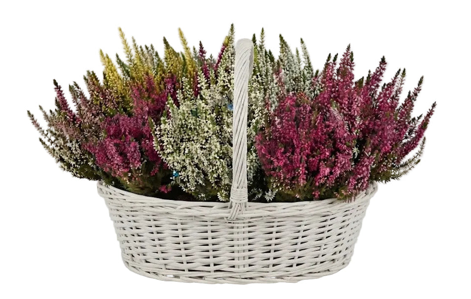 Rustic Basket of Heather