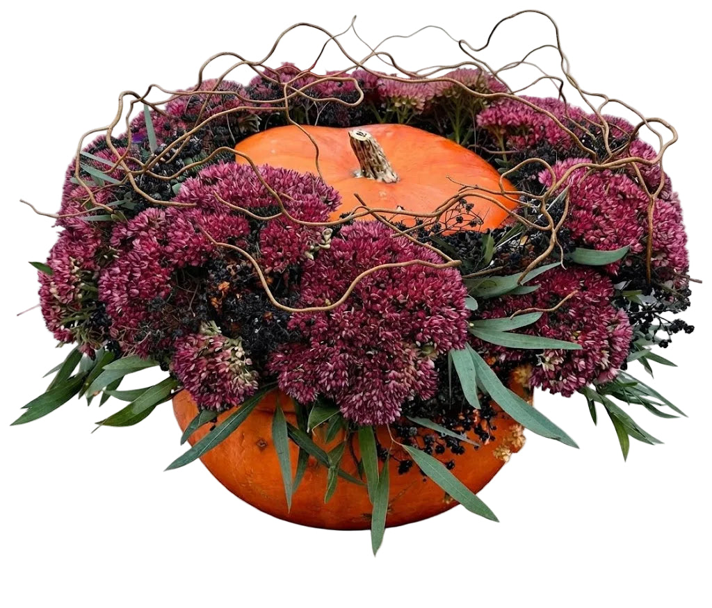 Sedum and Gypsophila Elegant Pumpkin