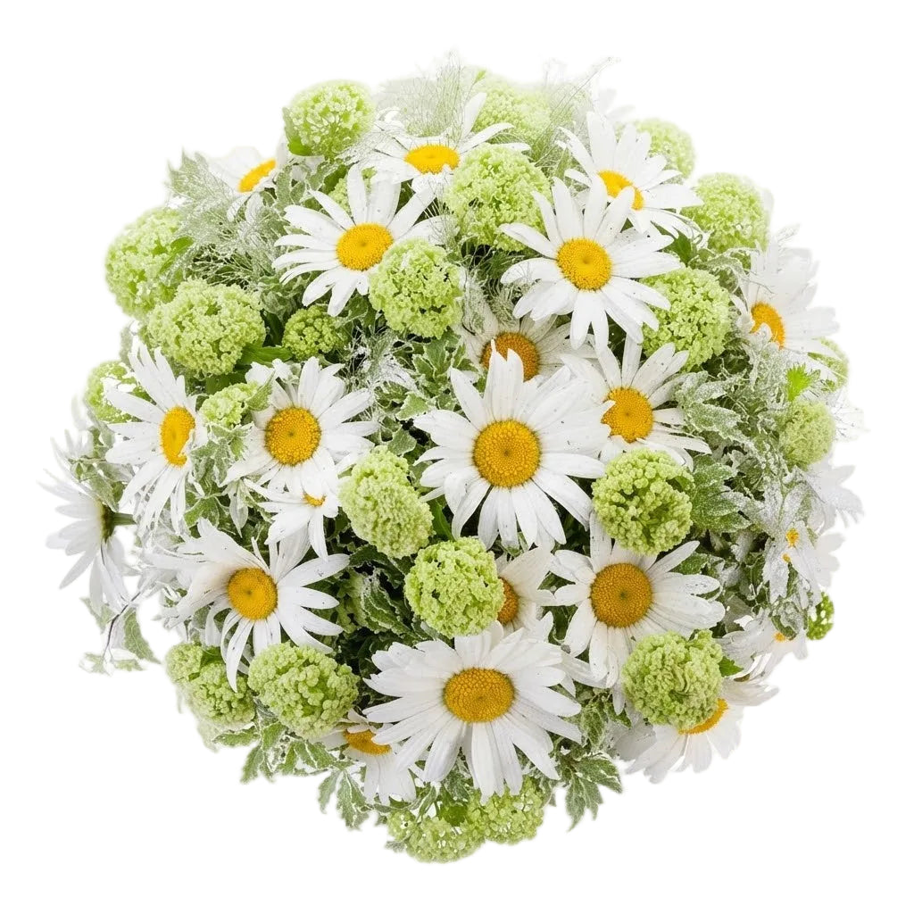White Daisy and Green Viburnum Bouquet