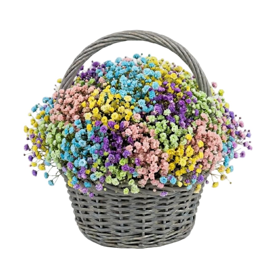Amazing Basket of Gypsophila - Florist London
