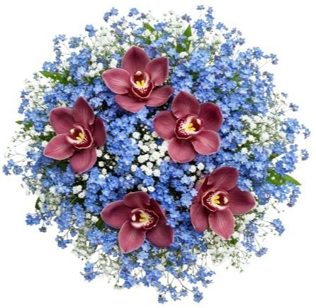 Blue Forget - Me - Not with Cymbidium Orchids Bouquet - Florist London