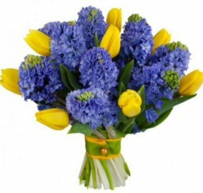 Blue Hyacinth with Tulips Bouquet - Florist London