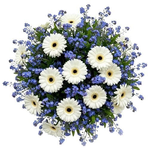 Bouquet of Blue Forget - Me - Not with Gerberas - Florist London