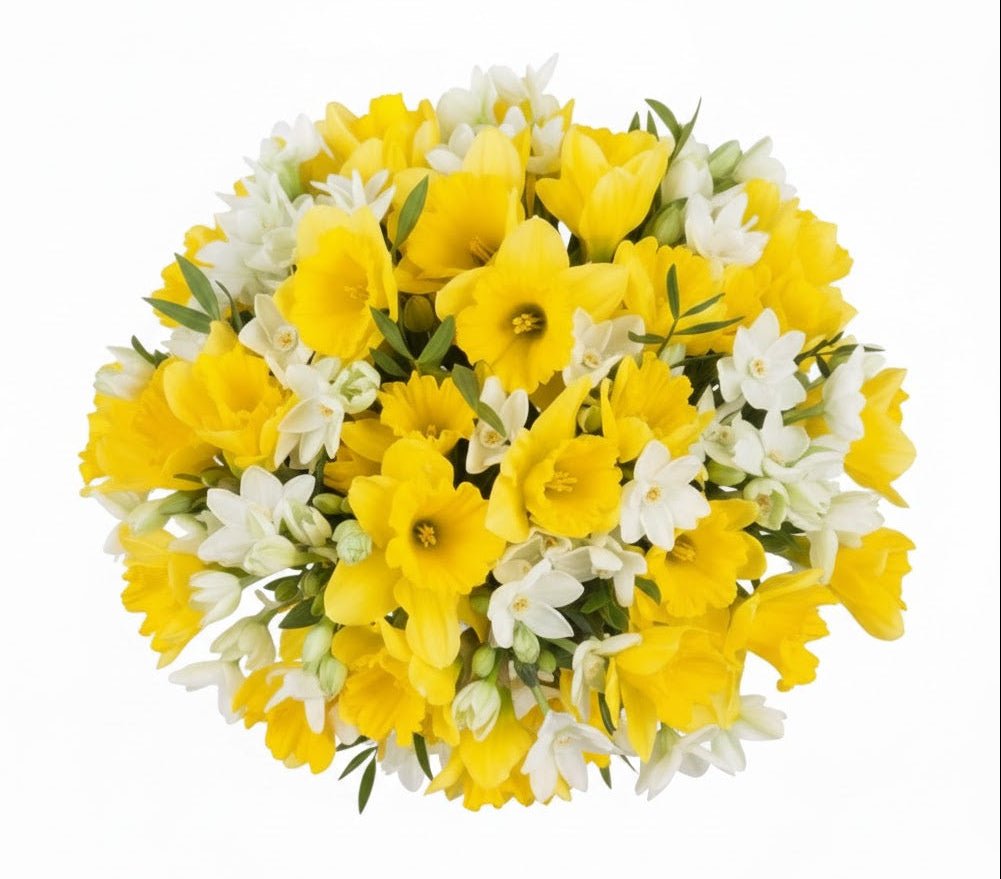 Bouquet of Daffodils and Narcissus - Florist London
