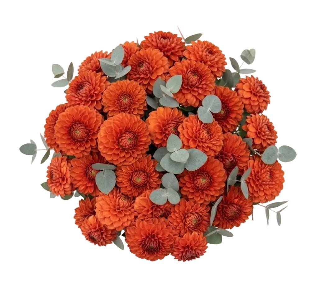 Bouquet of Orange Dahlia with Eucalyptus - Florist London
