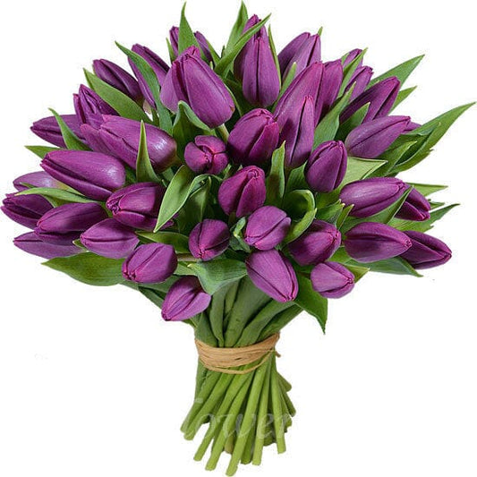 Bouquet of Purple Tulips - Florist London