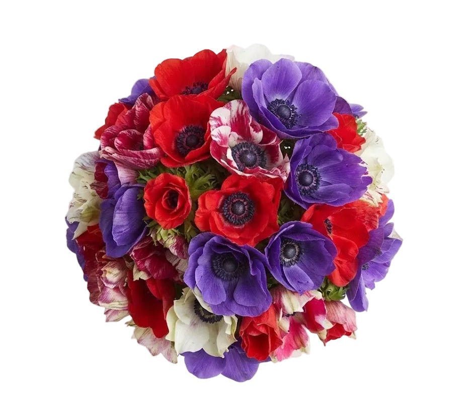 Bouquet of Red and Purple Anemone - Florist London