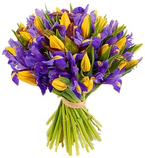 Bouquet of Yellow Tulips and Iris - Florist London