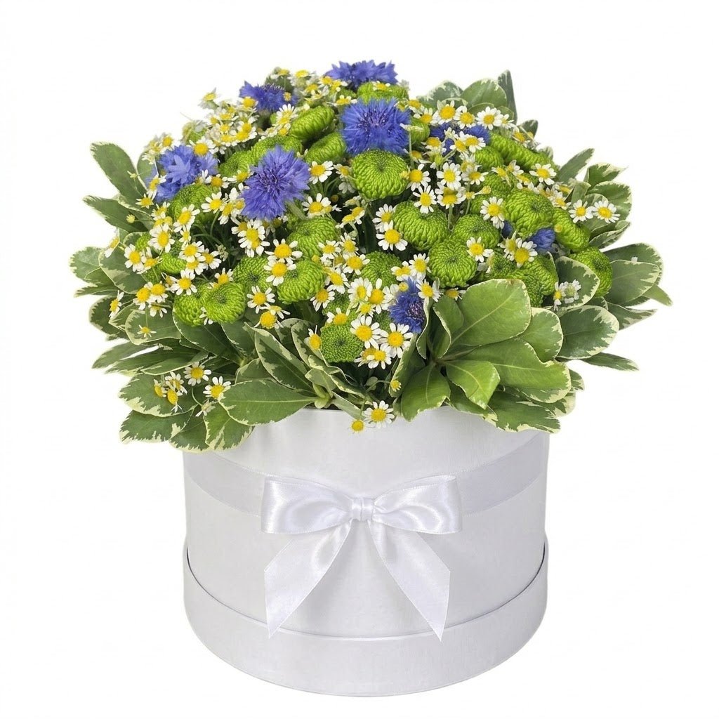 Box of Cornflowers with Santini Chrysanthemum and Daisy - Florist London