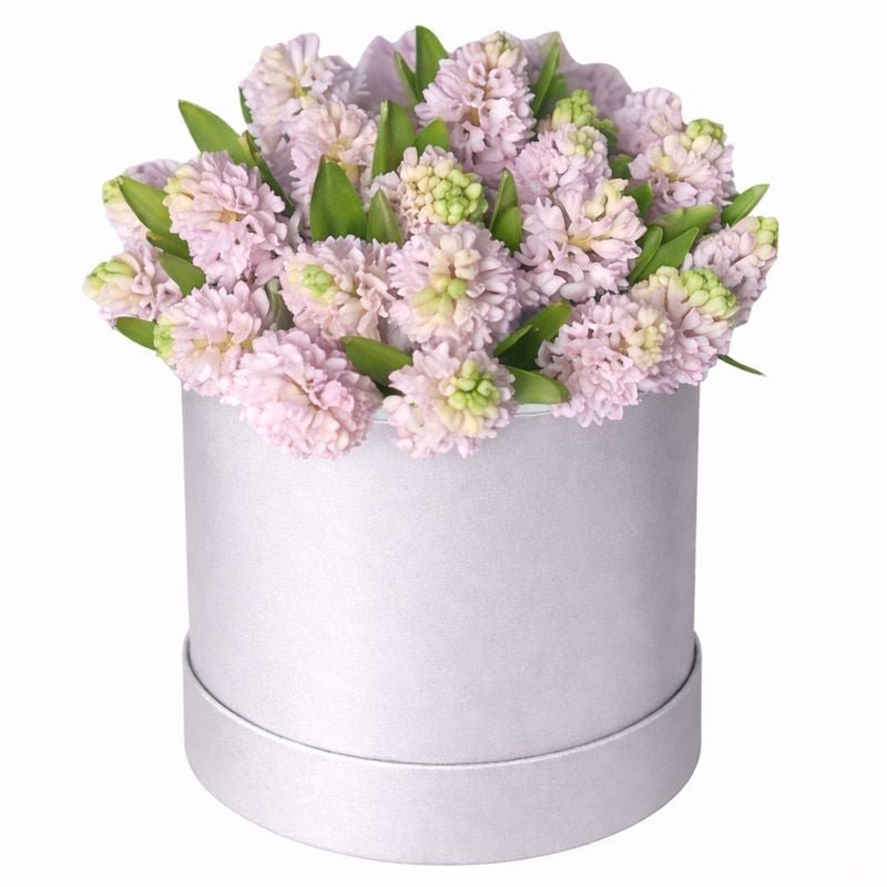 Box of Hyacinths - Florist London