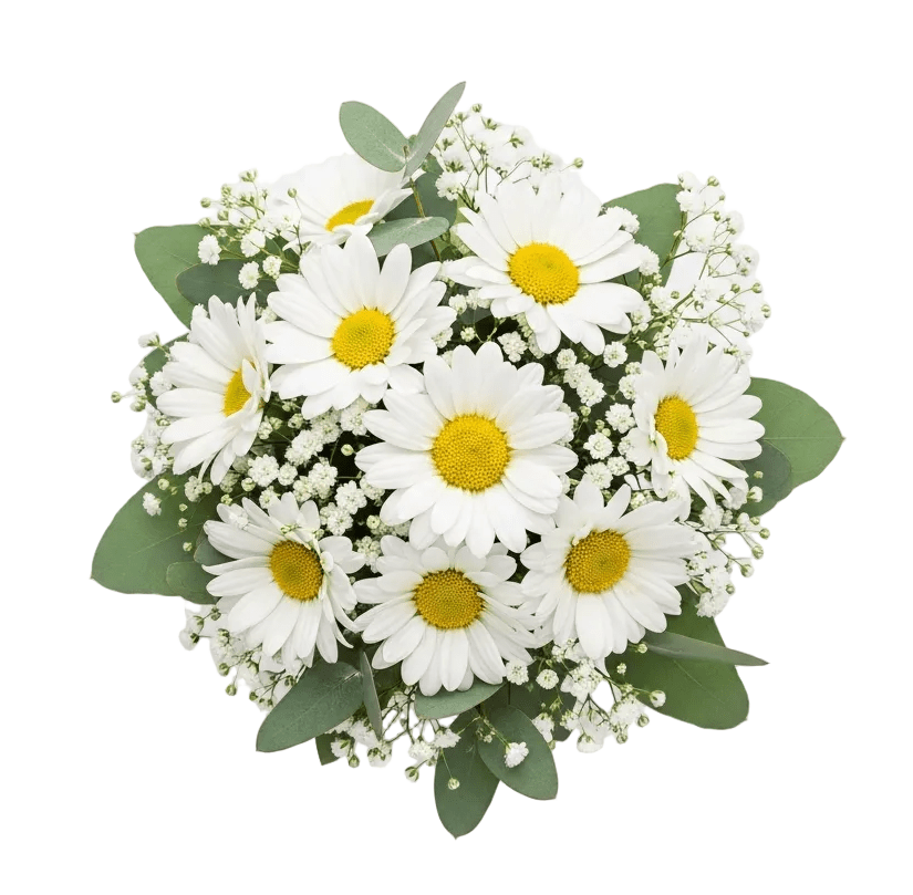 Bridal Bouquet of Daisy and Gypsophila - Florist London
