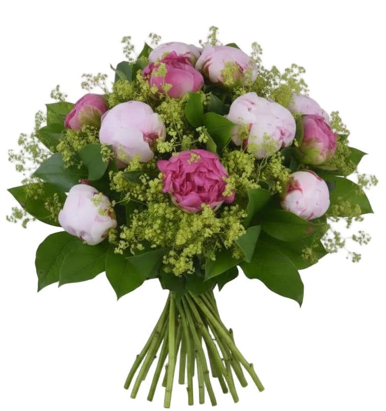 Cerise and Pink Peonies with Alchemilla - Florist London