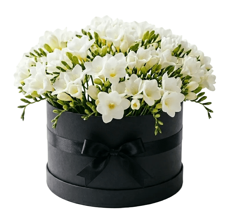 Classic Box of Freesias - Florist London