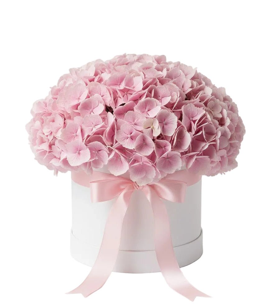 Classic Box of Hydrangea - Florist London