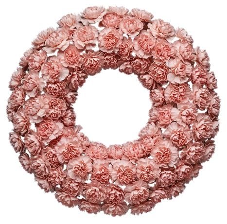 Classic Carnations Wreath - Florist London