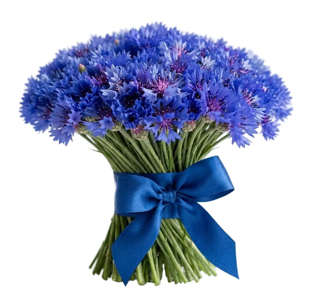 Classic Cornflower Bouquet - Florist London