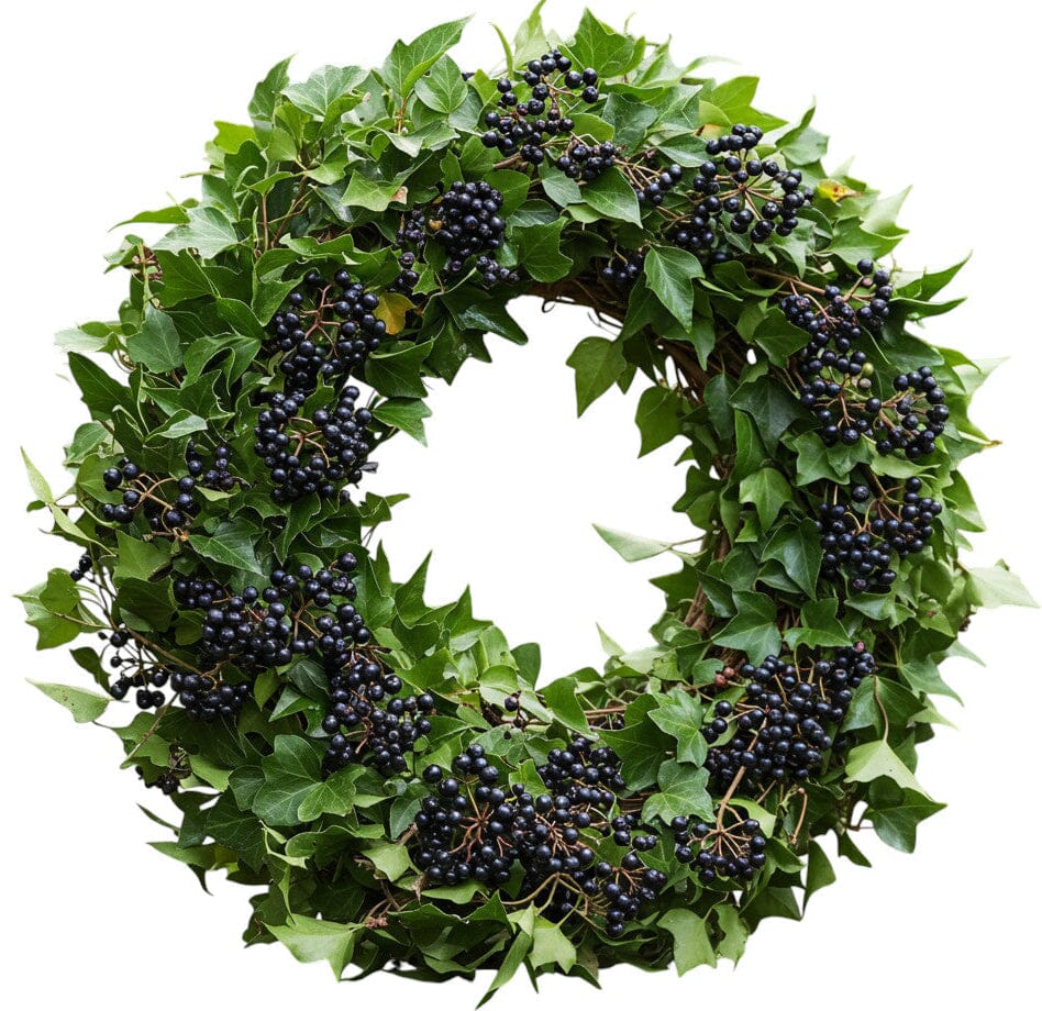 Classic English Ivy with Berry Wreath