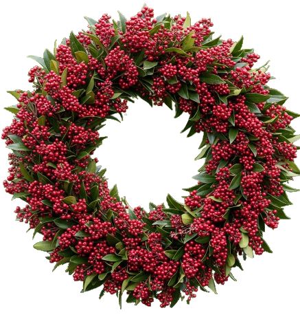 Classic Red Skimmia Rubella Door Wreath