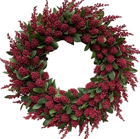 Classic Red Skimmia Rubella Door Wreath