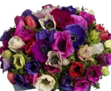 Colored Anemone Bouquet - Florist London