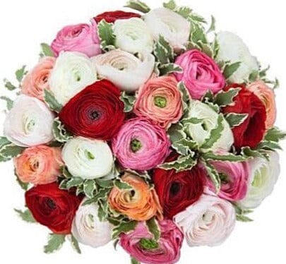 Colorful Ranunculus Bouquet