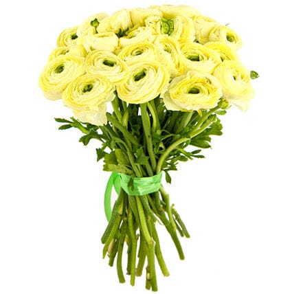 Cream Ranunculus Bouquet - Florist London