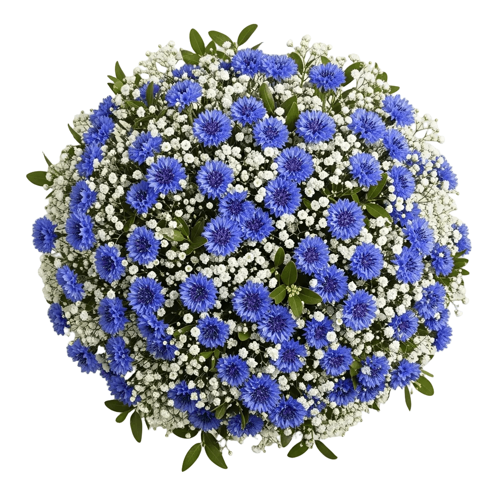Cute Bouquet of Gypsophila with Cornflower - Florist London
