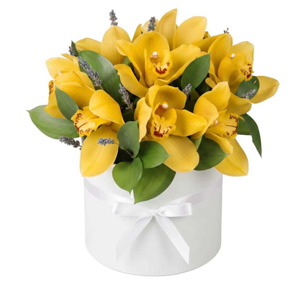 Cymbidium and Lavender Box - Florist London