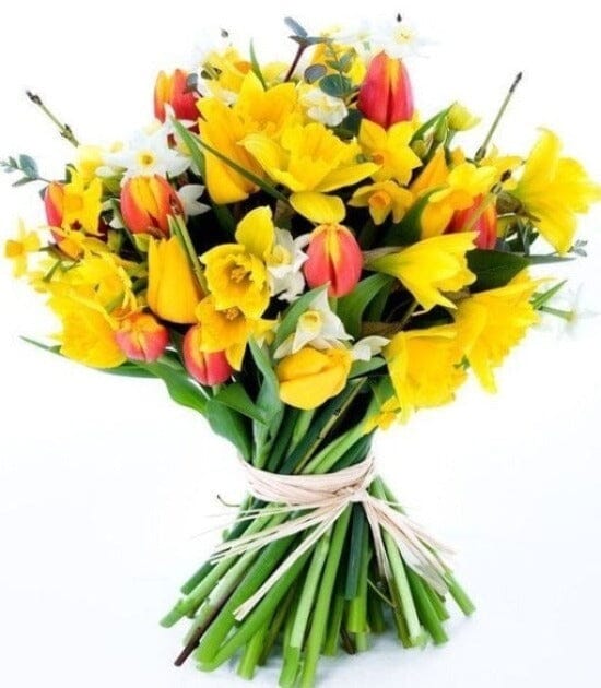 Daffodils and Tulips Spring Bouquet - Florist London