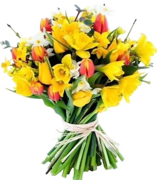 Daffodils and Tulips Spring Bouquet - Florist London