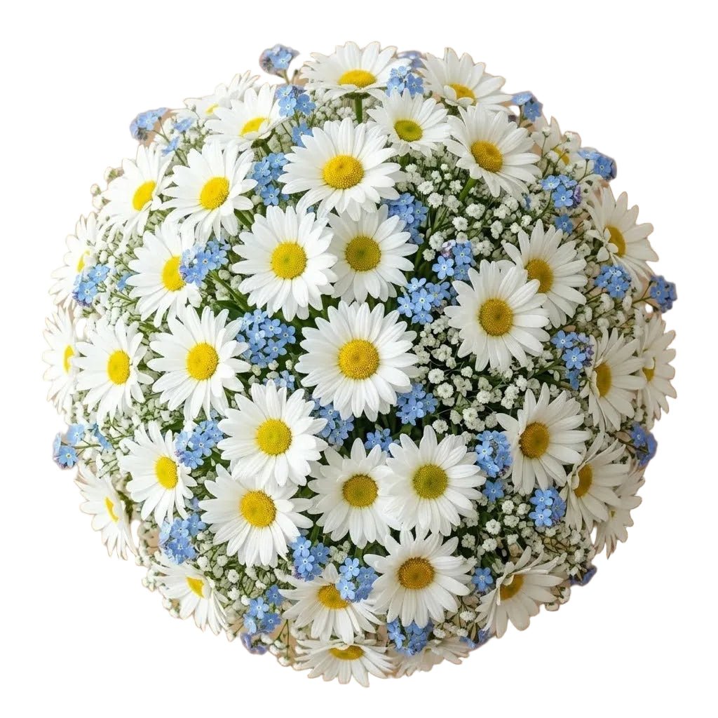 Daisy with Forget Me Not Bridal Bouquet - Florist London
