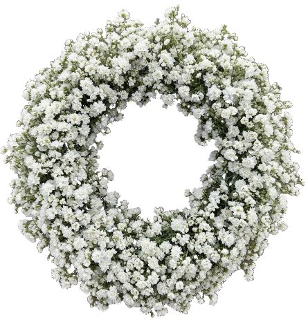 Door Wreath of Limonium