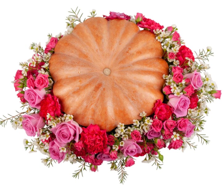 Gorgeous Halloween Pumpkin Arrangement - Florist London