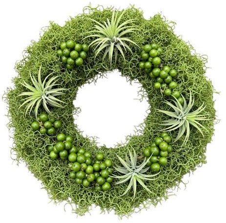 Green Berries and Tillandsia Door Wreath - Florist London