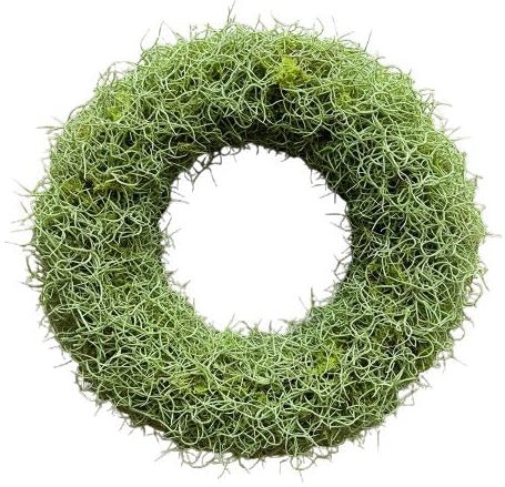Green Moss and Tillandsia Door Wreath - Florist London