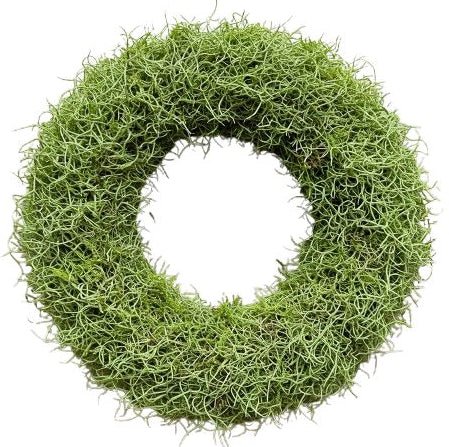 Green Moss and Tillandsia Door Wreath - Florist London