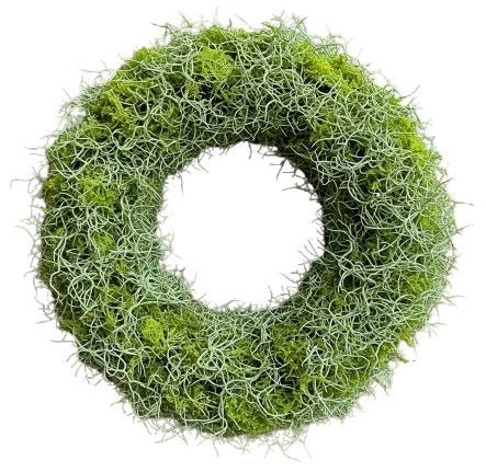 Green Moss and Tillandsia Door Wreath - Florist London