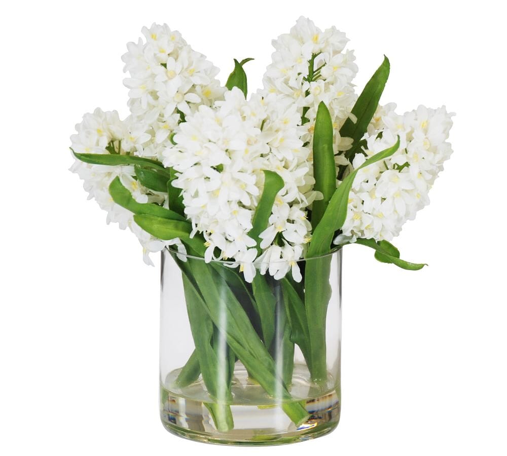 Hyacinth in Round Pot - Florist London
