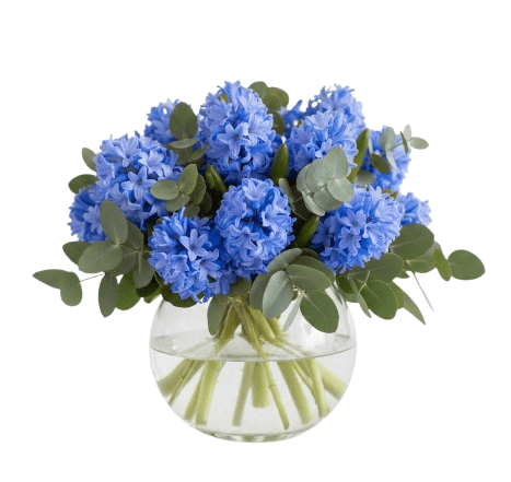 Hyacinth with Eucalyptus in Glass Bowl - Florist London