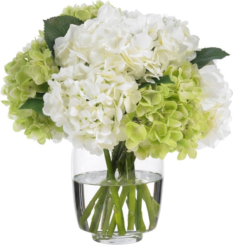 Hydrangea in Vase - Florist London