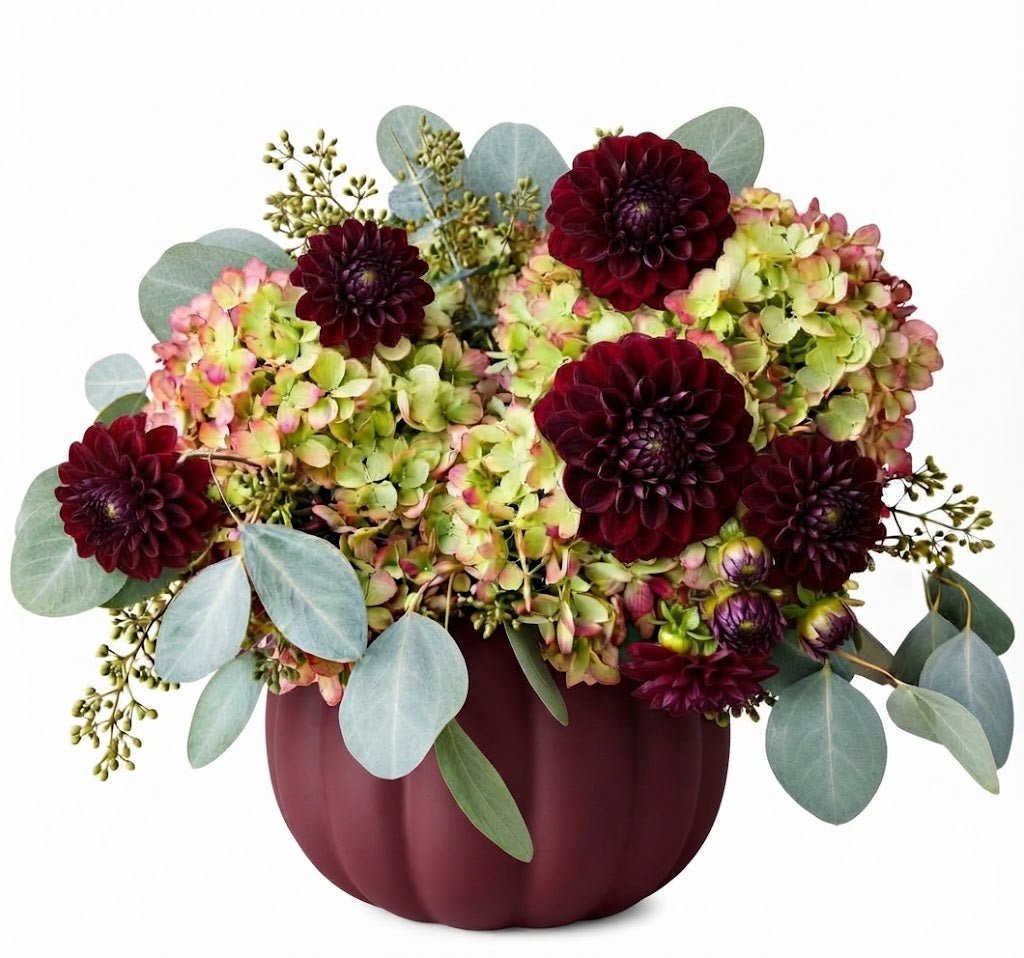Hydrangea with Burgundy Dahlia Elegant Pumpkin - Florist London