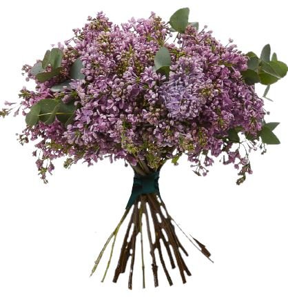 Lilac Bouquet with Eucalyptus - Florist London