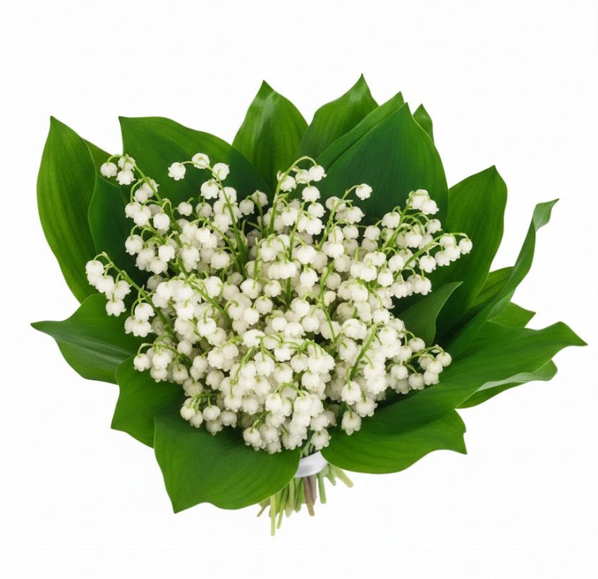 Lily of the Valley Fragrant Bouquet - Florist London