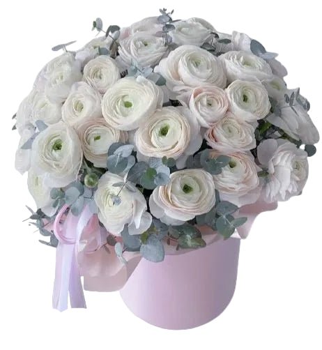 Luxury Ranunculus with Eucalyptus Box - Florist London