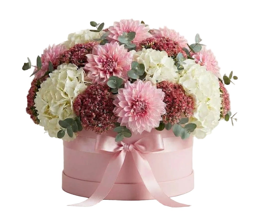 Modern Blush Dahlias with White Hydrangeas and Sedum Box - Florist London